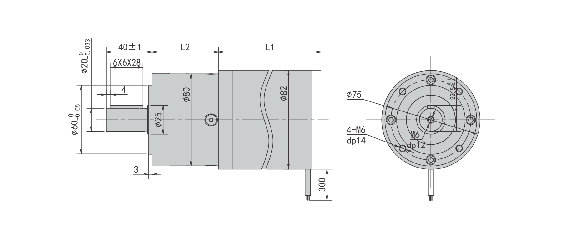PBLR82GE round dia.82mm Brushless geared motor winding and hall sensor wiring connection