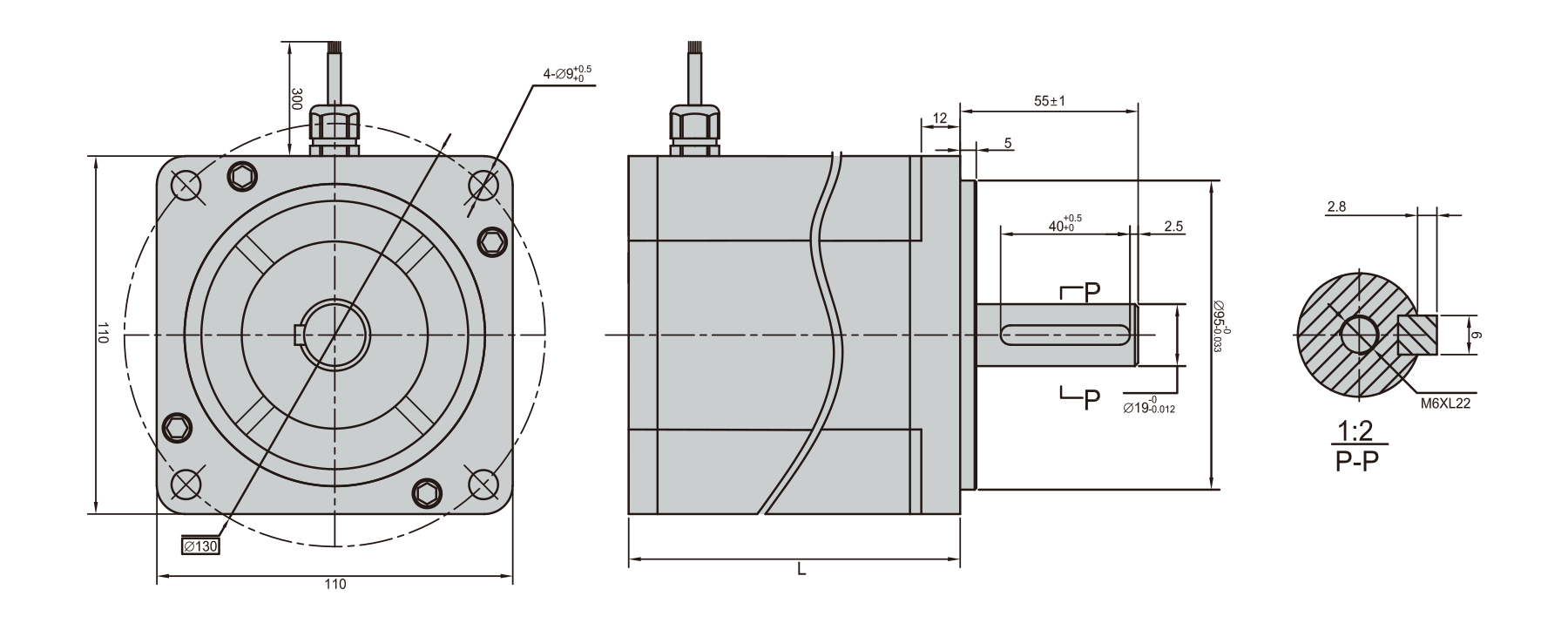 PBLS110PE nema 42 waterproof bldc motor outline dimensions drawing