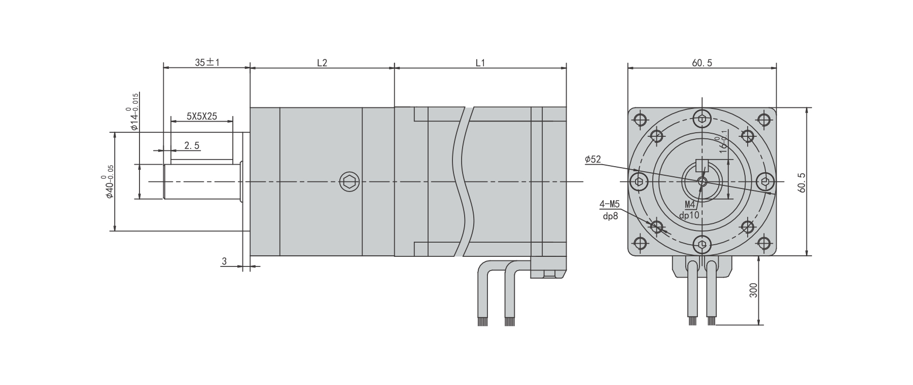 PBLS60GE 60mm square Brushless geared motor winding and hall sensor wiring connection